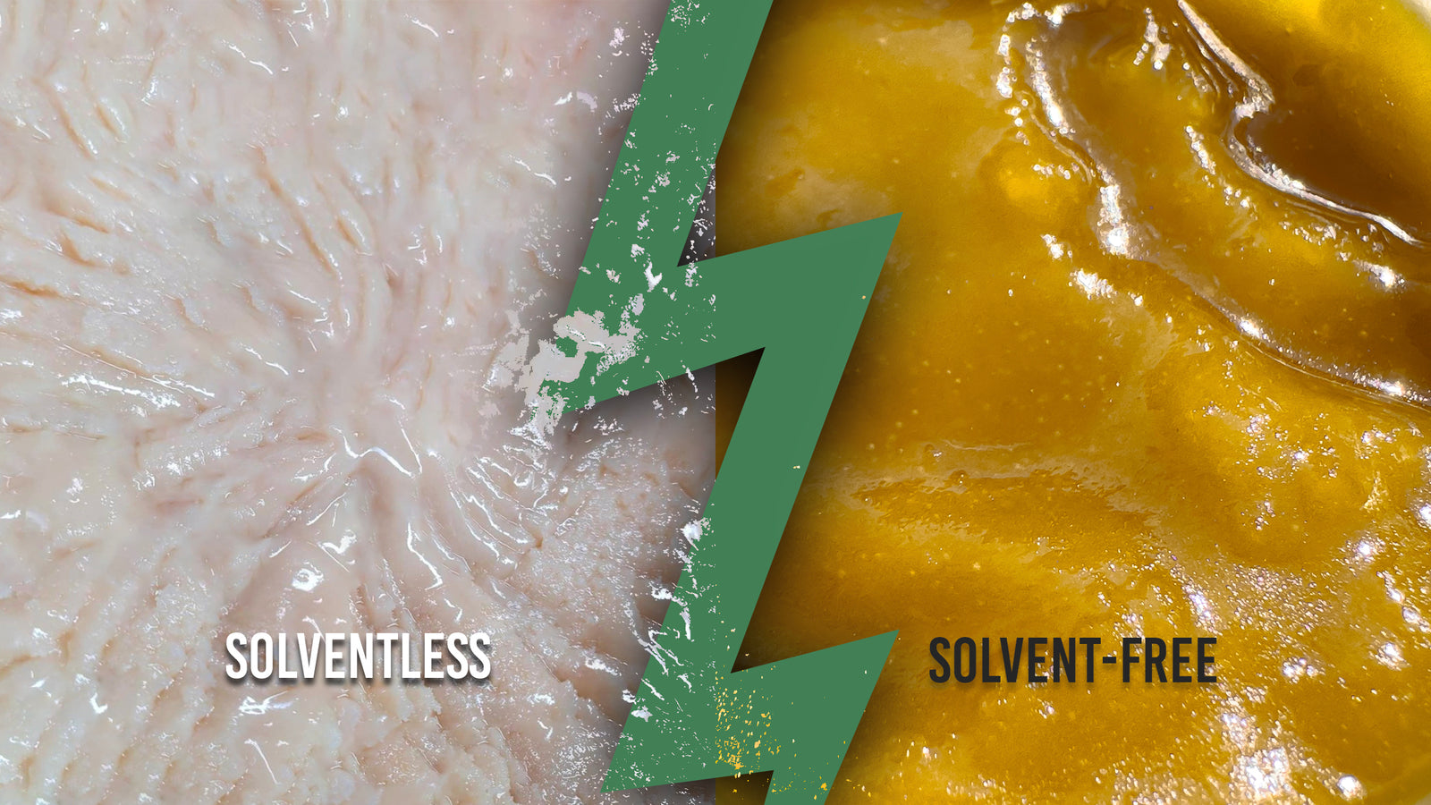 Solventless Central |  The Difference Between Solventless CBD and Everything Else