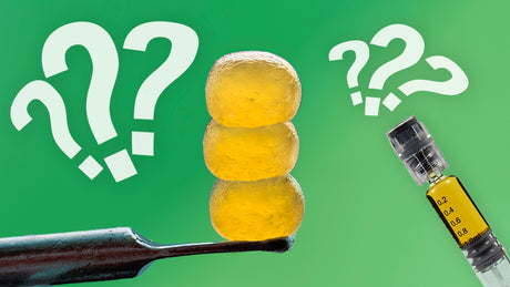 Solventless Central | What is CBD Rosin? Can You Dab it?