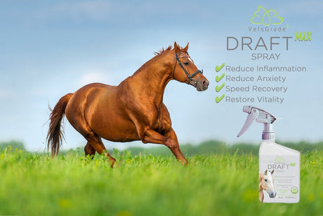 VetsGrade® | CBD for Equines | Organic Pet Products - VetsGrade®