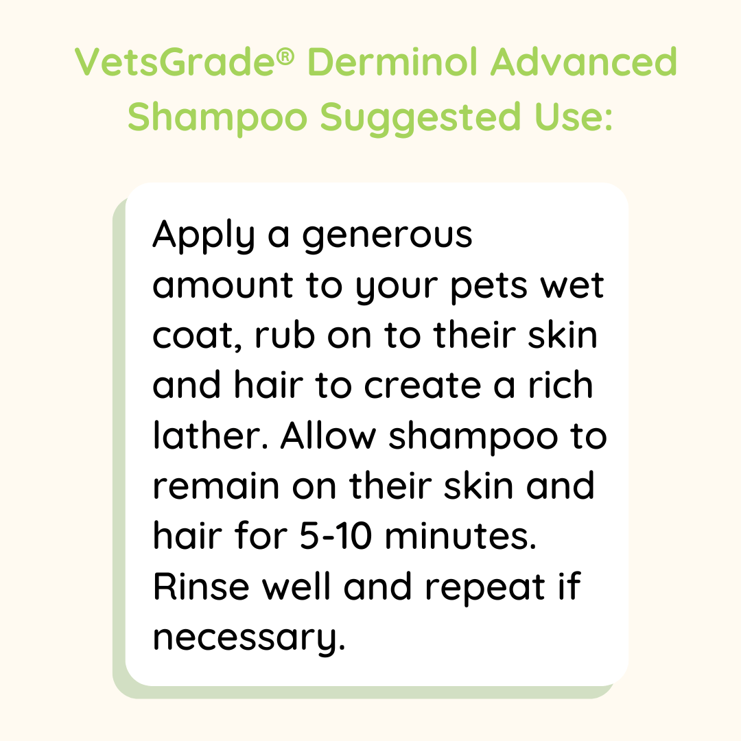 VetsGrade | Derminol Advanced | Solventless Hemp Shampoo Dog & Cat Shampoo VetsGrade Inc. 